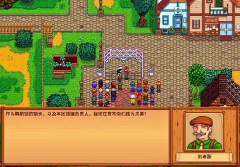 星露谷物语怎么交付[图2]