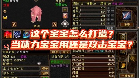 天龙八部宝宝怎么看