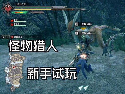 怪物猎人世界怎么组队