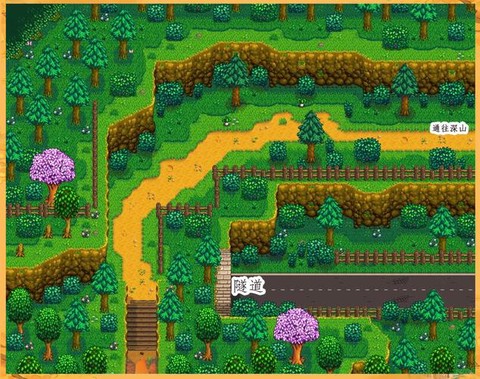 星露谷物语怎么去沙漠[图2]