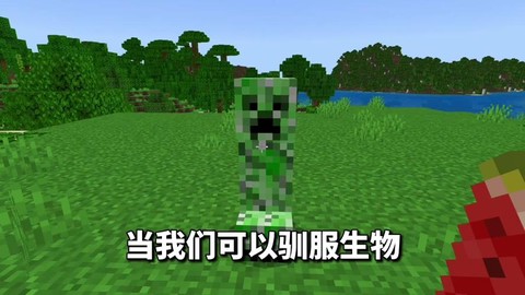 我的世界怪物怎么驯服[图2]