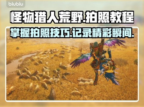 怪物猎人怎么调视角[图2]