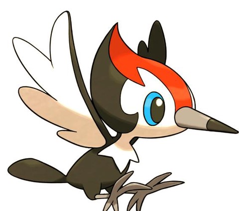 口袋妖怪家门鸟是什么[图1]