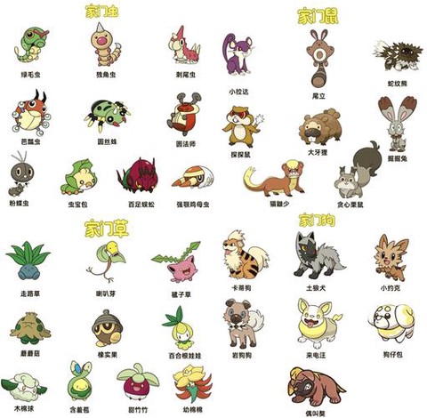 口袋妖怪家门鸟是什么[图2]